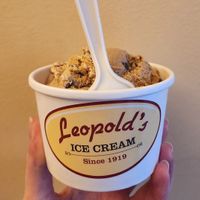 Vegan coffee chocolate chip icecream at Leopold's Ice Cream in Savannah
