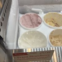 Vegan Ice Cream flavors that day  at Leopold's Ice Cream in Savannah