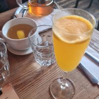 Mimosa at Satsang in Prague