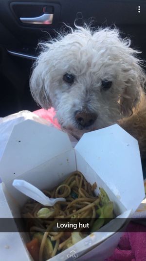 Chowmein  at Loving Hut in Upland