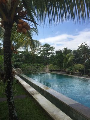 Pool with a view at Ubud Sari Health Resort in Ubud