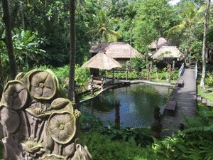 Beautiful garden at Ubud Sari Health Resort in Ubud