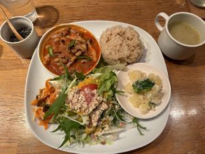 Meal if the day  at Green Earth in Osaka