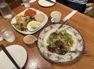   at Green Earth in Osaka