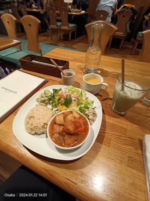 Daily Lunch Special #Veganuary at Green Earth in Osaka