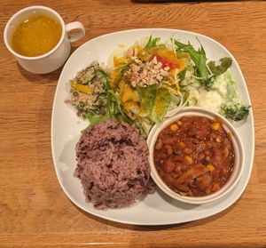 🌱 Daily Lunch Special (1100¥) + 100¥ for more rice at Green Earth in Osaka