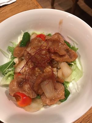 Fried vegan chicken with brown rice at Green Earth in Osaka