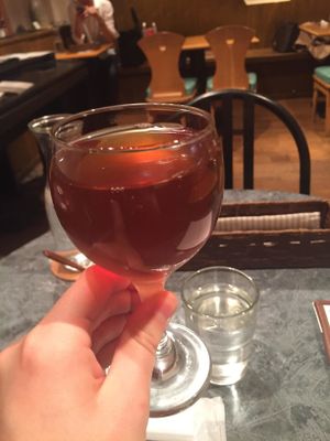 KOMBUCHA!  at Green Earth in Osaka