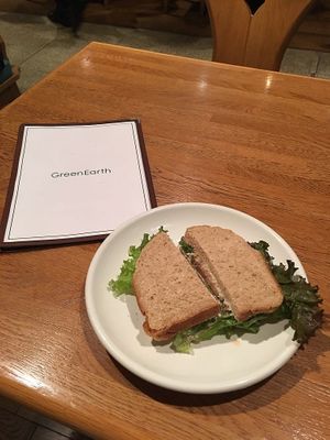 The soy cheese sandwich. Not as good as the burger but a pretty cheap option! at Green Earth in Osaka