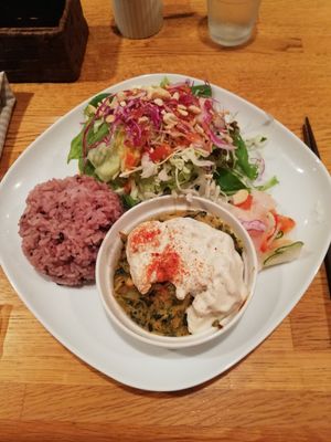 Daily set lunch! Wild rice, salad, vegetables, spinach with tzatziki 😍 at Green Earth in Osaka