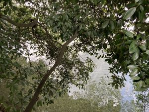 The view from our table  at Alishan Cafe in Saitama