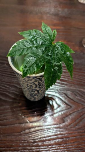 Chilled soup at Fucha Bon in Tokyo