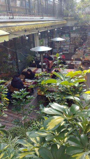 outdoor courtyard at Crayon House in Tokyo