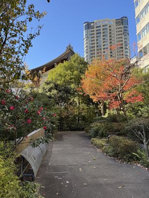 The garden outside  at Daigo in Tokyo