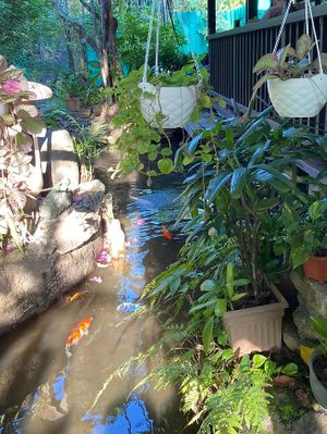 Pond beside al fresco dining area  at Greens in Quezon City