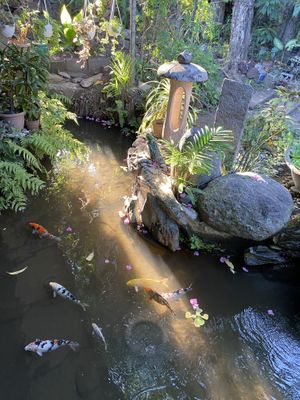 Relaxing pond and garden view at outdoor dining  at Greens in Quezon City