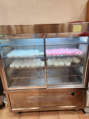 Pao at Kwan Im Vegetarian 東南亞觀音素食舘 in Central Singapore