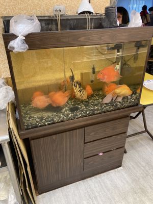 Poor babies..   at Sān Lái SùShí - Sun Like in Taipei