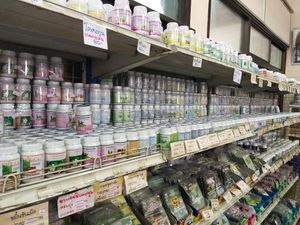 Amazing selection of natural local organic herbs supper cheep at Chamlong's / The Vegetarian Society Chatuchak in Bangkok