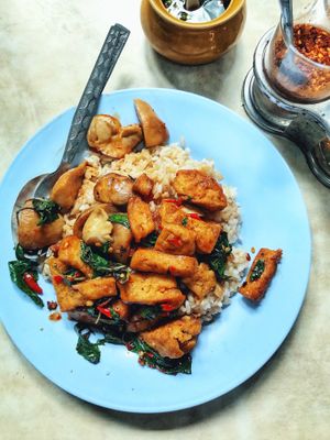 tofu mushroom stir fry, really good! at Kaodaeng - Kaeng Rawn in Bangkok