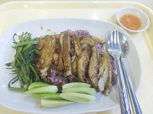 Vegetarian duck rice at Rabiengboon - MBK in Bangkok