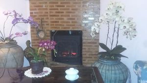 Interior, electrical fireplace at The Vegetarian Cottage in Bangkok