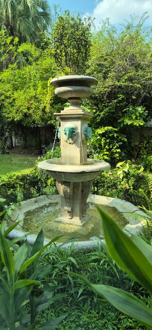  at The Vegetarian Cottage in Bangkok