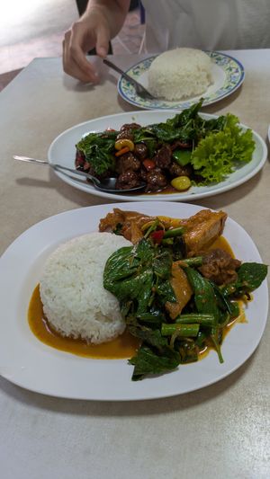 Vegan fish curry & vegan chicken with cashews at Ruyi Vegetarian in Bangkok