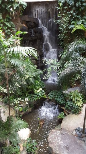 the waterfalls at Palang Bun in Bangkok