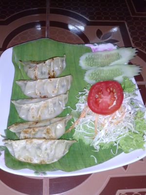 dumplings at Aum in Chiang Mai