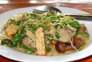 Fried tempeh and sunflower sprouts at Aum.  at Aum in Chiang Mai