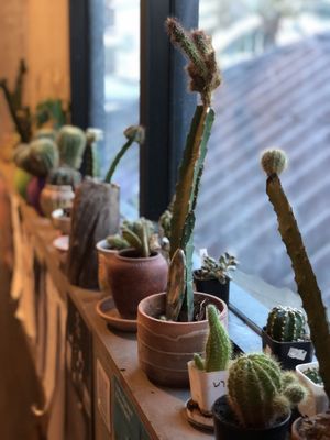 Interior   at Aum in Chiang Mai