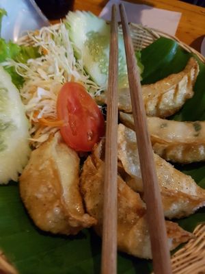 Dumplings  at Aum in Chiang Mai