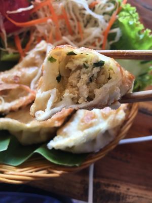 Gyoza stuffed with soft tofu and chives at Aum in Chiang Mai