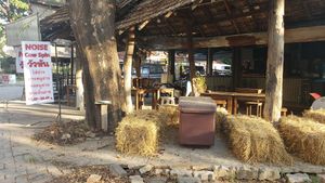  at Vegetarian Thai Orchid in Chiang Mai