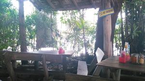 Garden at Vegetarian Thai Orchid in Chiang Mai