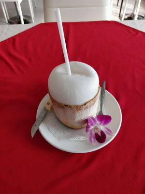 Fresh coconut served oh so beautifully!  at Five Star J Restaurant in Pattaya