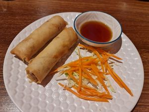 Spring rolls at Utopia Vegan in Dickson