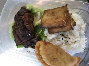 Beijing stewed roast with rice and veges, samosa, daikon rice delight  at Welcome Chinese Vegetarian Cafe in Christchurch