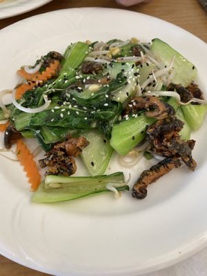 Braised sesame mushrooms and vege   at Welcome Chinese Vegetarian Cafe in Christchurch