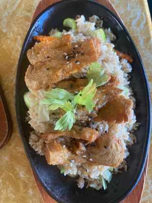 Plum soy meal at Welcome Chinese Vegetarian Cafe in Christchurch