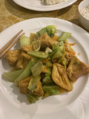 Tom yum tofu   at Welcome Chinese Vegetarian Cafe in Christchurch