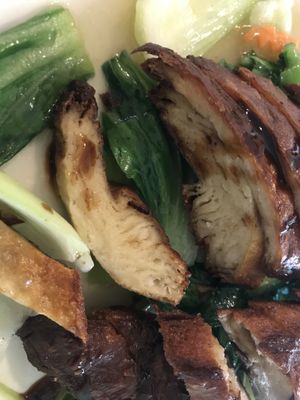 vegan duck dish. very very good at Welcome Chinese Vegetarian Cafe in Christchurch