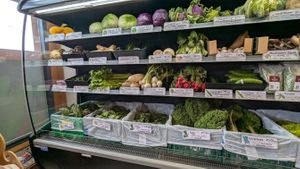  at Piko Wholefoods Co-operative in Christchurch