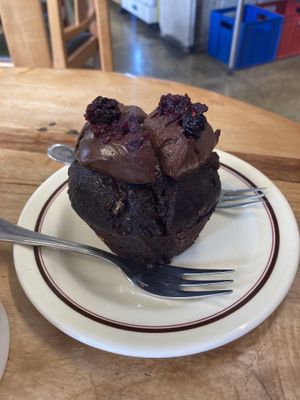 Gluten free, vegan muffin. Not tasty   at Taste Nature in Dunedin