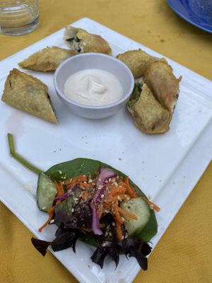 The little salads that come with all the entree dishes are so sweet!  at Wolf & Lamb Vegan in Nimbin