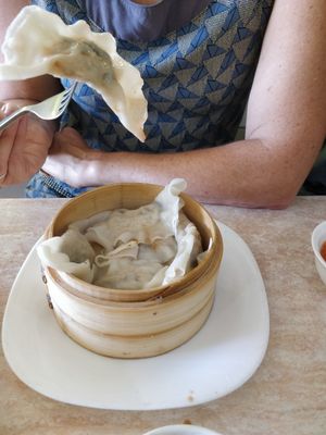 Dumplings at An Lac Vegan in Cabramatta