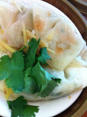 rice paper rolls at Green Gourmet in Newtown