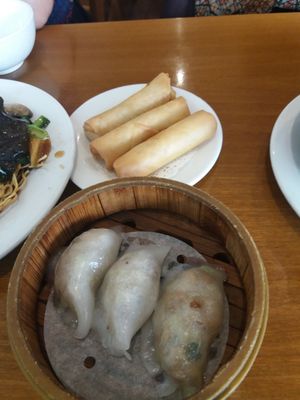 Fried spring rools and steamed dumplings at Green Gourmet in Newtown