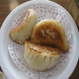 Dim sim at Green Gourmet in Newtown